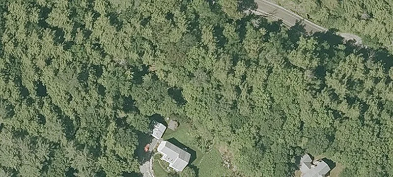 38 Macdonald Dr