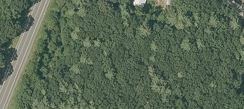 585 State Rte 111