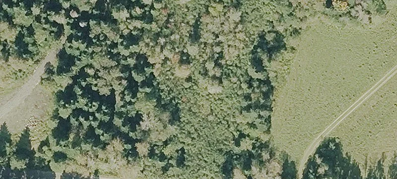 County Farm Rd