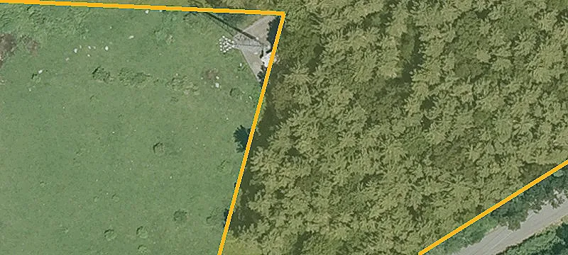 120 Timber Swamp Rd