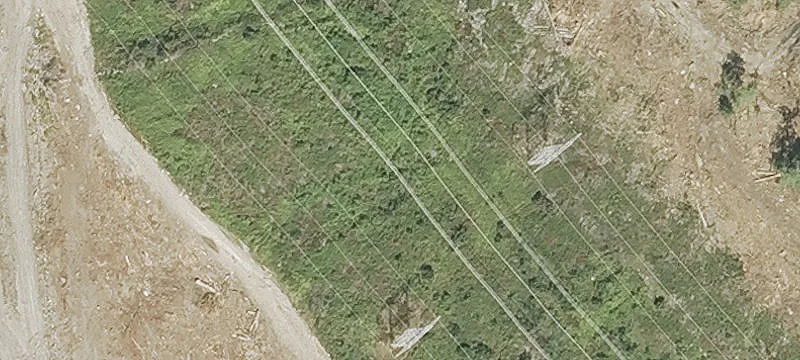 186 Mast Rd