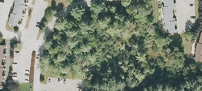35 Summer St