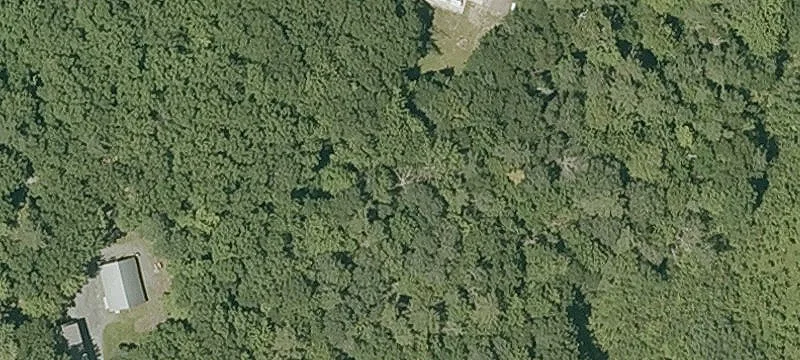 135 Foisy Hl Rd