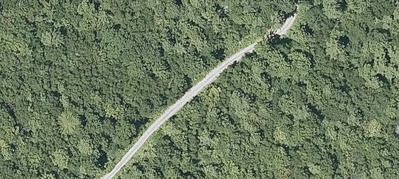 419 Durrell Rd