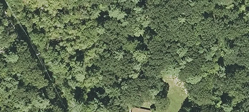 388 Greenfield Rd