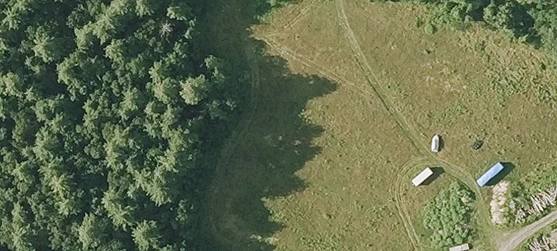 Mammoth Rd
