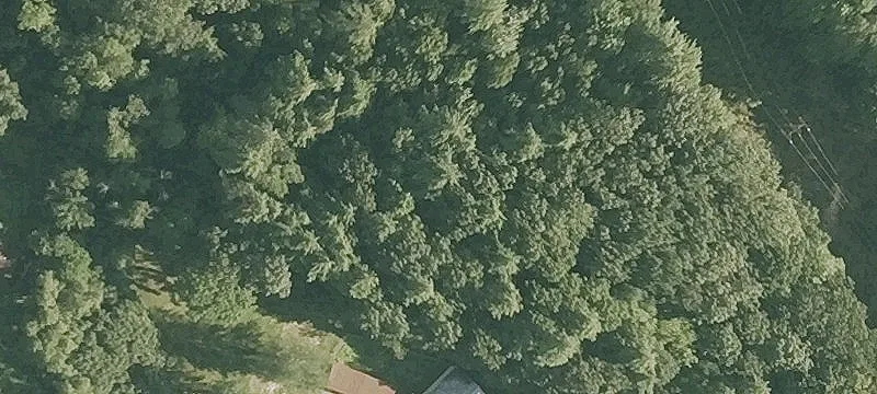 290 Brattleboro Rd