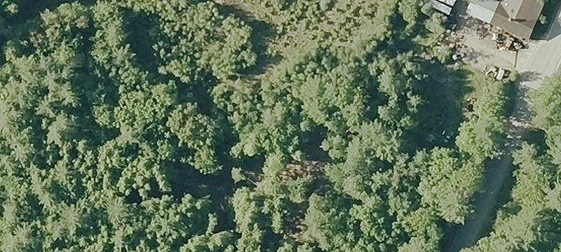 38 Long Woods Rd