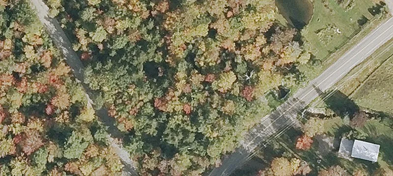 Black Mtn Rd