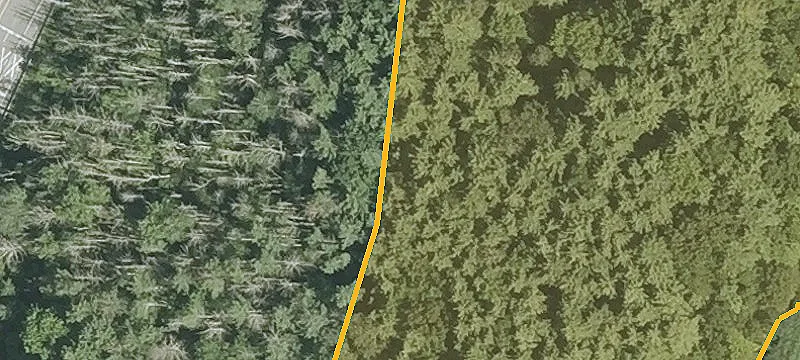 1471 Greenland Rd