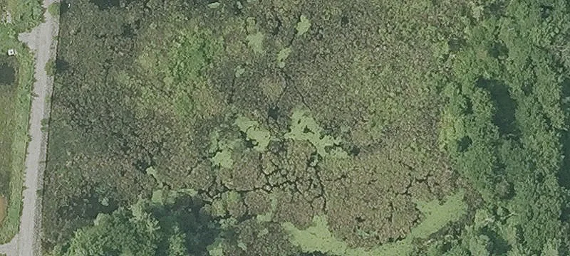 85 Range Rd