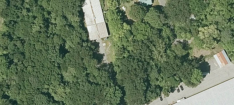75 Dell St