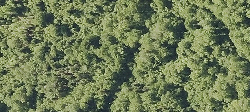 40 Old Cherry Mtn Rd
