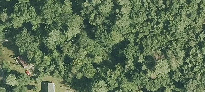 361 Frst Rd