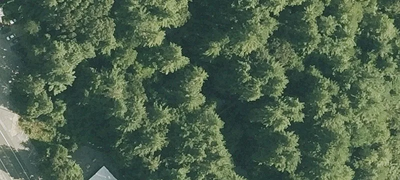 99 Rte 13