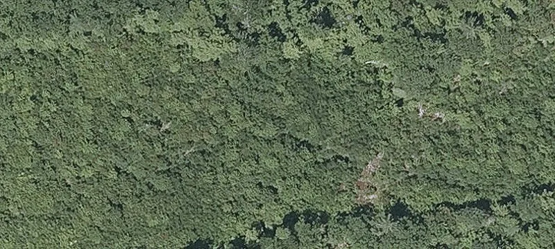 376 White Mtn Hwy