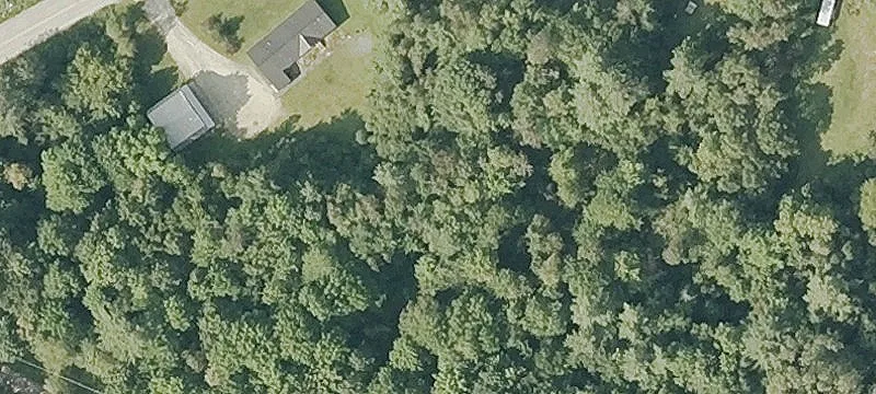1445 Mt Eustis Rd