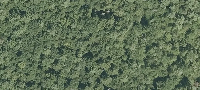 Epsom, NH 03234