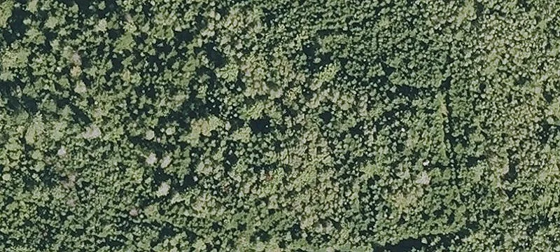 Milan, NH 03588