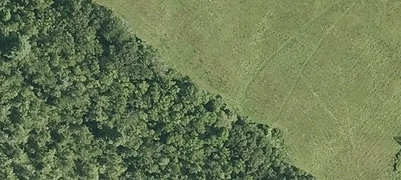 Rochester Hl Rd
