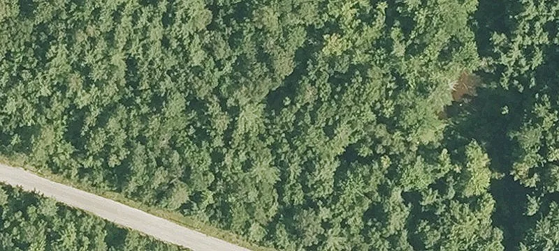 Perry Rd