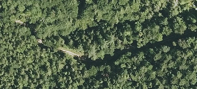 Potato Hl Rd