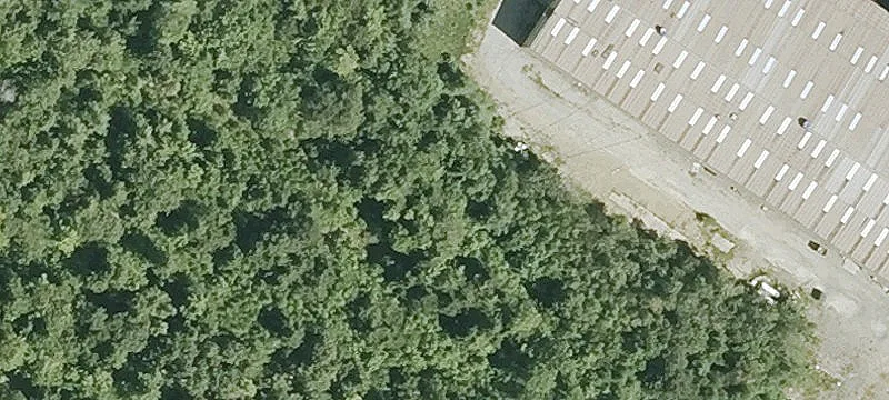 56 Davidson Dr