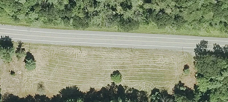 Gibbons Hwy