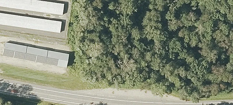 Rte 12