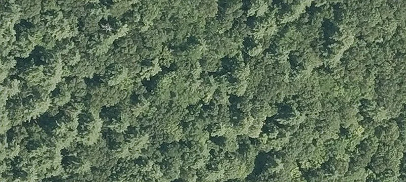 Rte 27