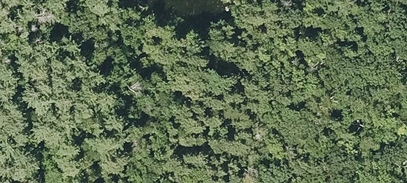 Willard Pond Rd