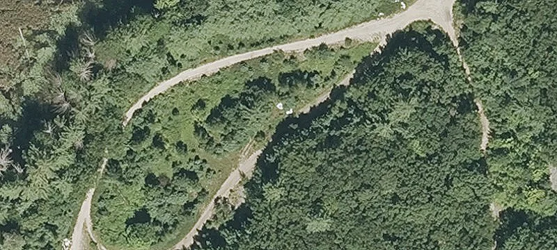 Tower Ln