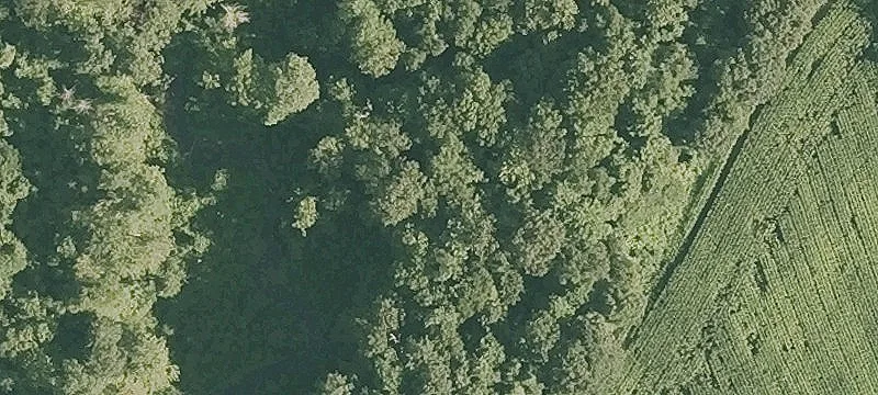 Brattleboro Rd