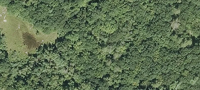 66 Old Mason Ctr Rd