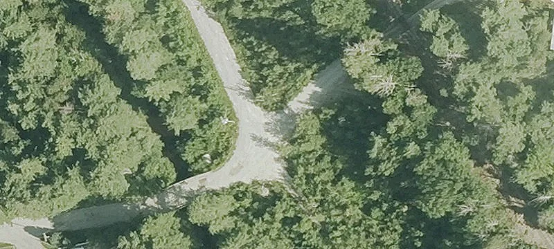 Quinn Dr