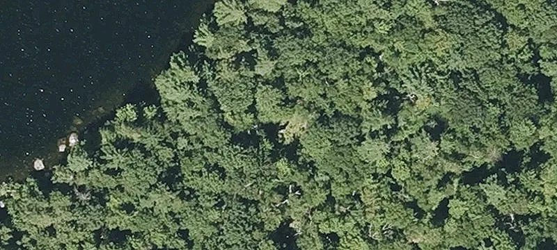 Willard Pond Rd