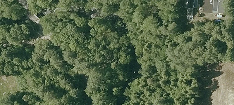 Paradise Rd
