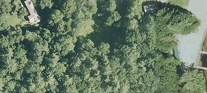 Birch Ln