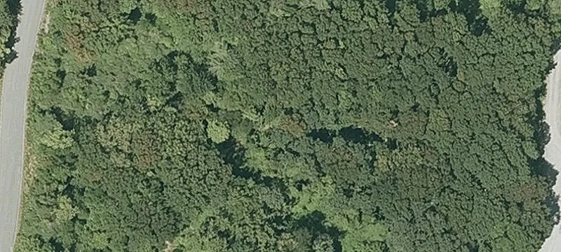 Fling Rd