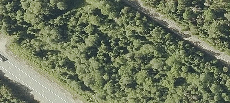 Us Rte 302nd E