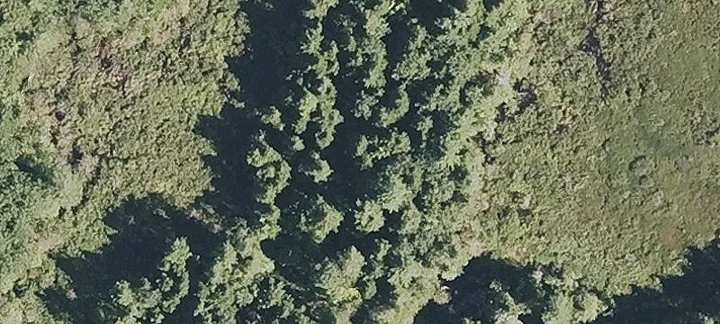 Kimball Pond Rd