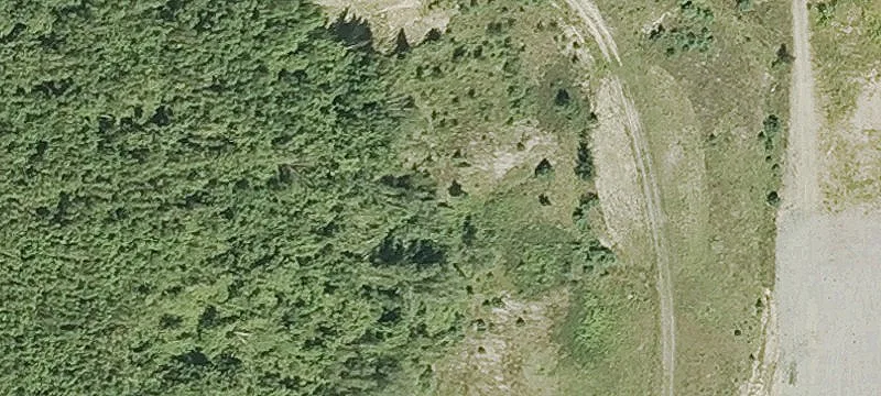 Gibbons Hwy