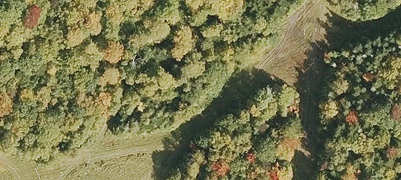 Black Mtn Rd