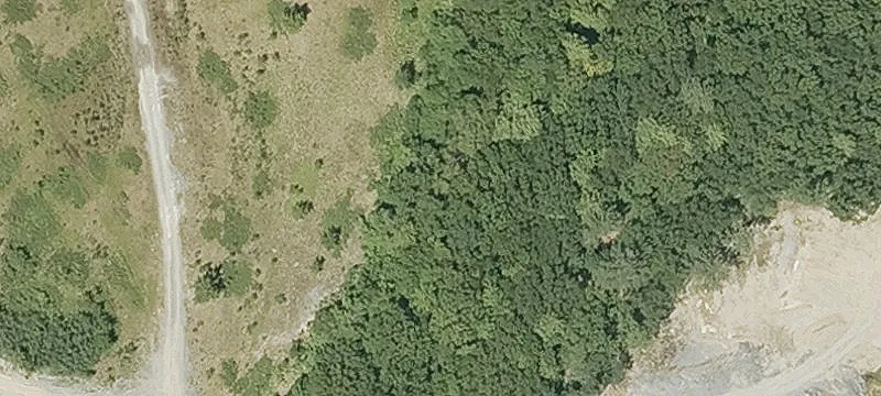 Fling Rd