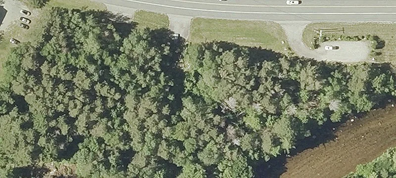 Us Rte 302nd E