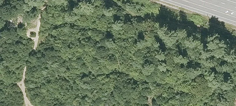 Dover Rd