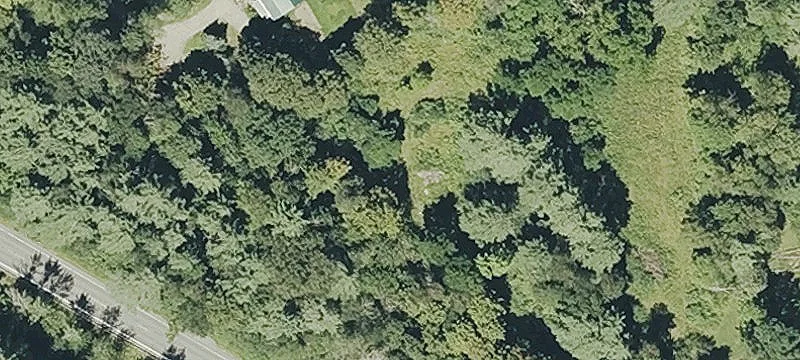 25 Elms Rd