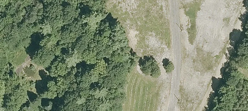 Cotton Rd