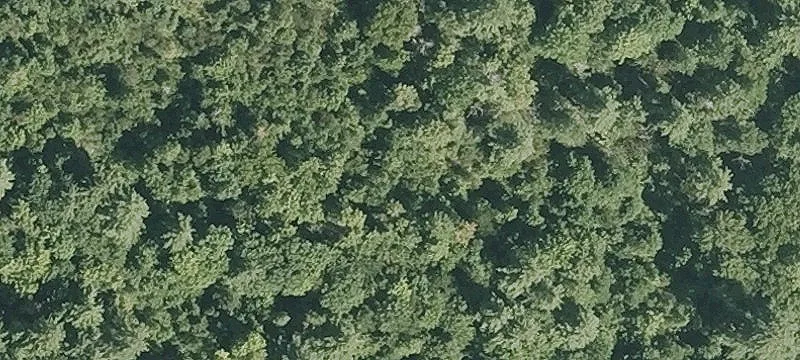 Old Candia Rd