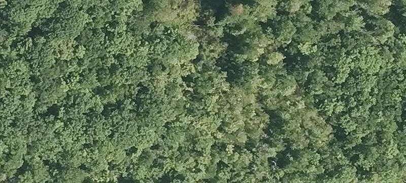 Nh Rte 11